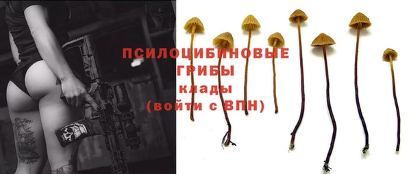 jwh Богородицк