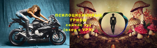 дурь Богородск
