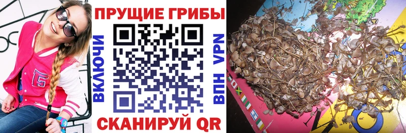 Галлюциногенные грибы ЛСД  Пушкино 